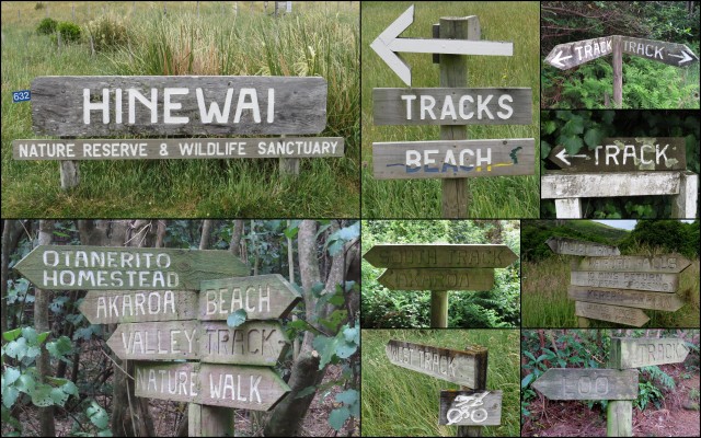 Just a few of the options to explore native bush at Hinewai